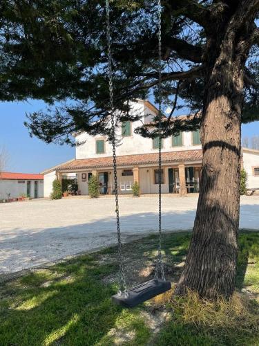 a swing hanging from a tree in front of a building at I Duchi Pellegrini in Santa Maria Nuova