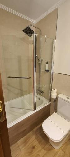 a bathroom with a shower and a toilet and a tub at Hotel Rebeco in Fuente De