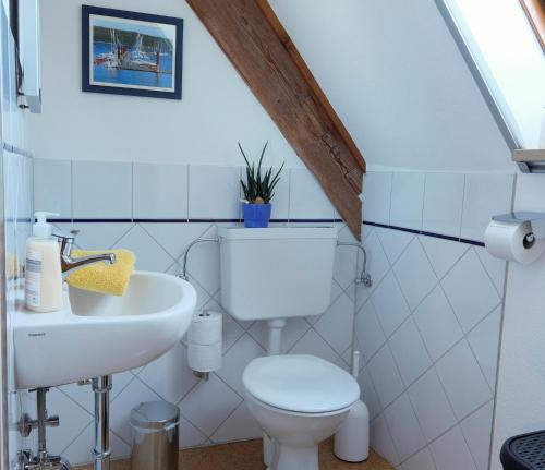 a bathroom with a toilet and a sink at Gästehaus am Brombachsee in Pfofeld