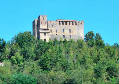 un castillo en la cima de una colina con árboles en ALBERGO BALDAZZI 1916, en Zavattarello