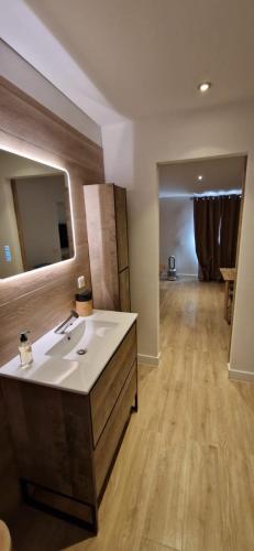 une salle de bain avec un lavabo et un miroir dans l'établissement Vieux Nice a 2min de la mer, à Nice