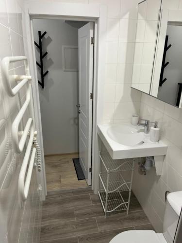 a bathroom with a sink and a toilet and a mirror at Mano Jūra 2, Kunigiškiai - Viltės Apartamentai in Palanga