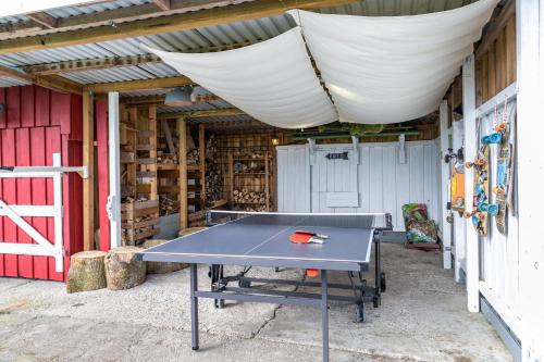 Kemudahan pingpong di Reetdachhaus Alter Deich atau berdekatan