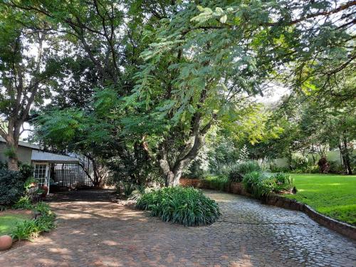a large tree in a yard with a walkway at Nel's Cottage, a private and peaceful cottage in Benoni