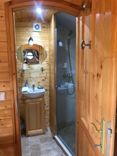 a bathroom with a sink and a shower in a log cabin at EI Domaine du Bouygues chambres d'hôtes in Le Juge