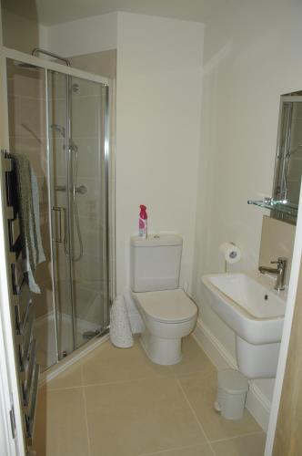 a bathroom with a shower and a toilet and a sink at A Delightful Historic Torbay Hidden Gem! in Stokeinteignhead