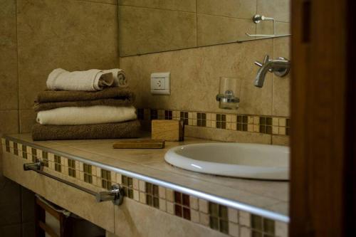 een badkamer met een wastafel en handdoeken op een aanrecht bij Casa de Campo Don Claudio in General Viamonte