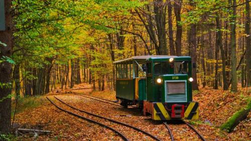 a green train on the tracks in the woods at Szent Orbán Erdei Wellness Hotel és Residence in Kóspallag