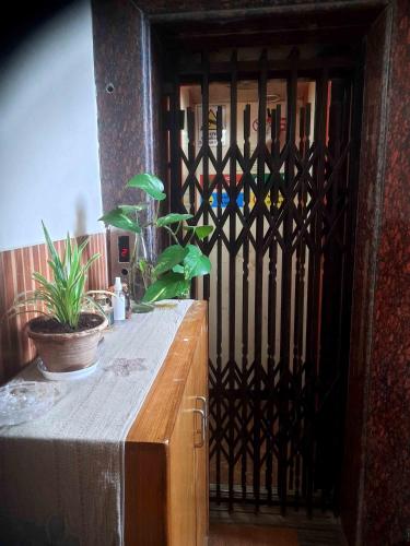 a gate with plants on top of a wooden table at Sublime Homestay in Bhubaneshwar
