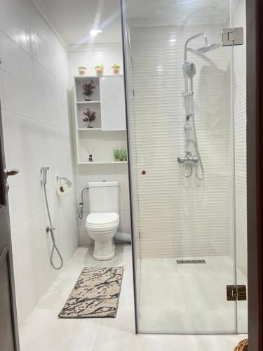 a white bathroom with a shower and a toilet at Cœur de ville in Kenitra