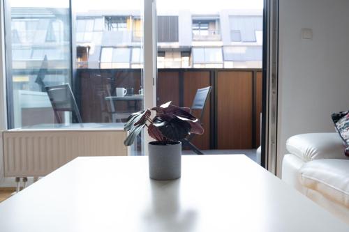 Gallery image of Flat 27 in Ljubljana