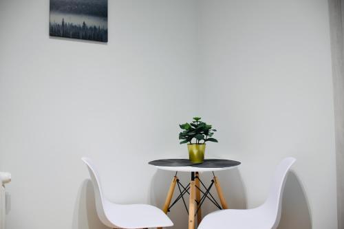 a table with white chairs and a potted plant on it at Narutowicza 5 Apartments in Inowrocław