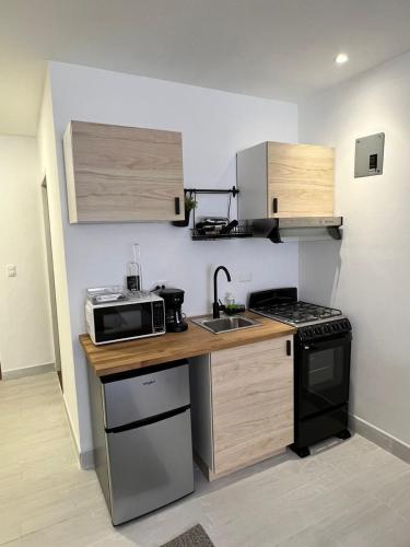 a small kitchen with a stove and a microwave at Suites By SalcedO in Santo Domingo
