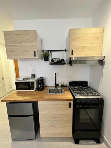a small kitchen with a stove and a sink at Suites By SalcedO in Santo Domingo