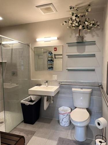 a bathroom with a toilet and a sink and a shower at Beacon Hotel in Beacon