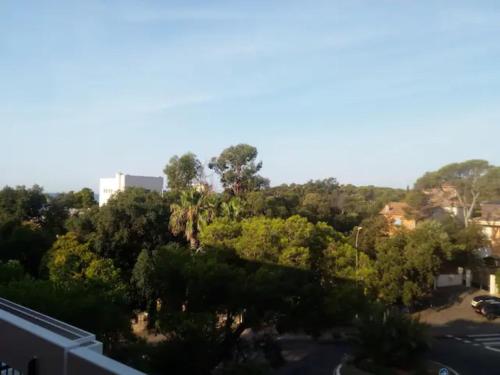 Blick auf einen Park mit Bäumen und ein Gebäude in der Unterkunft Mer et Soleil in Saint-Raphaël