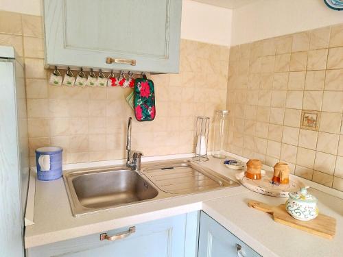 a kitchen with a sink and a counter top at Casa Coccorico' Pescasseroli in Pescasseroli
