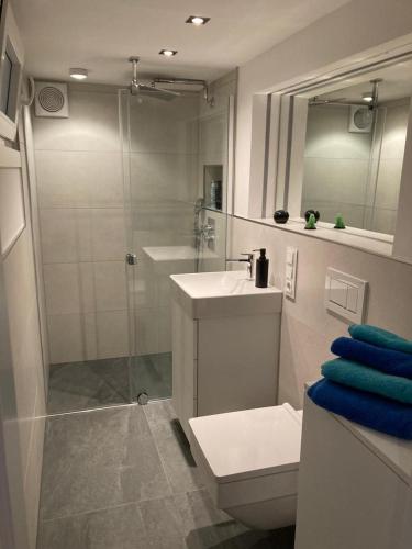 y baño con ducha, aseo y lavamanos. en Schickes Apartment in Düsseldorf- Flehe en Düsseldorf