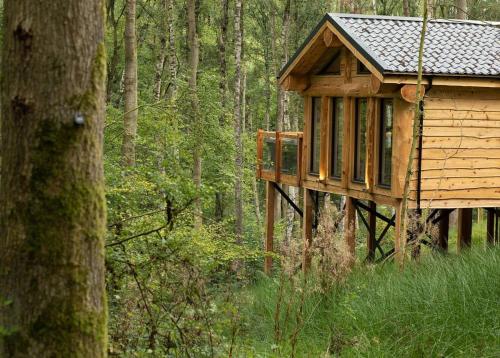 una casa en el árbol en medio de un bosque en Woodland Park Lodges, en Ellesmere