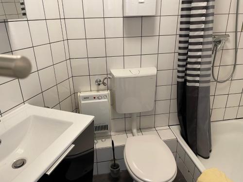 ein Badezimmer mit einem weißen WC und einem Waschbecken in der Unterkunft Apartment Pistenräuber in Winterberg