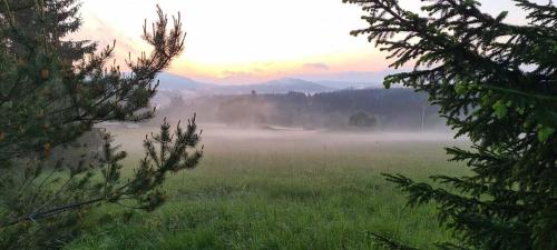 a foggy field with a view of a field with trees at Apartmány u Bernardů in Stožec