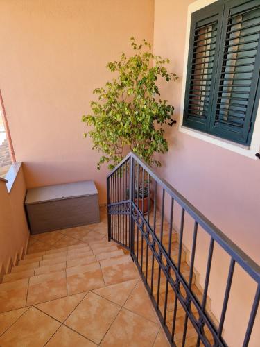 a staircase with a plant next to a building at Ca'Mea in Villasimius