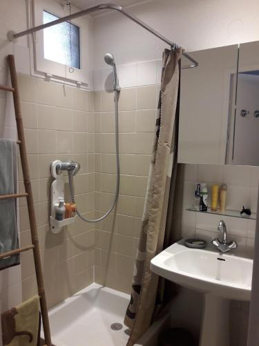 une salle de bain avec douche et lavabo dans l'établissement LE NAXOS Joli T2 proche port Mont St Martin Cap d'Agde, au Cap d'Agde