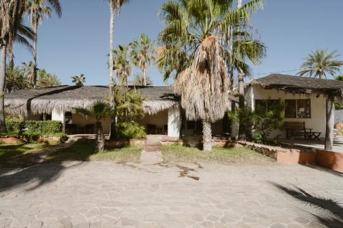 a house with palm trees in front of it at Hotel Rancho Buenavista in Los Barriles
