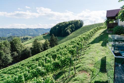 a vineyard on the side of a hill with a house at Weingut Sternat vlg. Schmalzpeter in Arnfels