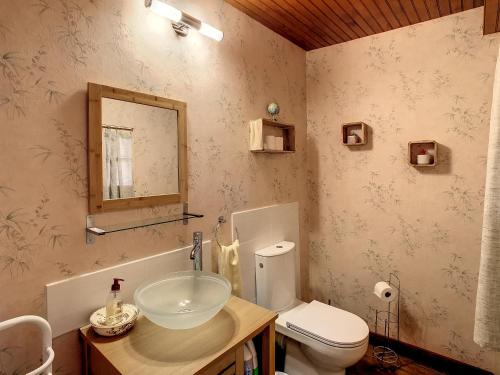 uma casa de banho com um lavatório, um WC e um espelho. em Ferme Gascone proche Marciac em Bars