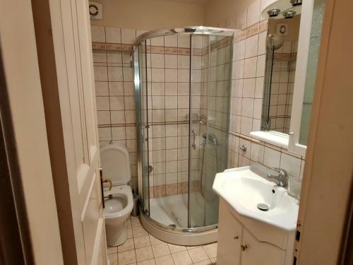 La salle de bains est pourvue d'une douche, d'un lavabo et de toilettes. dans l'établissement Galini Hotel Agios Ioannis Pelion, à Agios Ioannis