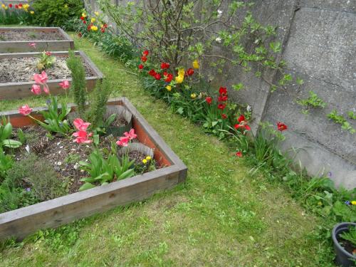 a garden with some flowers in wooden boxes at Maison d'hôtes les roses trémières in Saclay