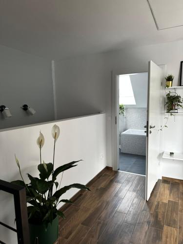 uma casa de banho com paredes brancas e um vaso de plantas em Loft Elsnera3 em Jelenia Góra