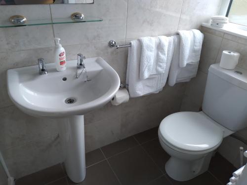 a bathroom with a sink and a toilet and towels at Elmgrove Apartment , Croagh Patrick Westport in Westport