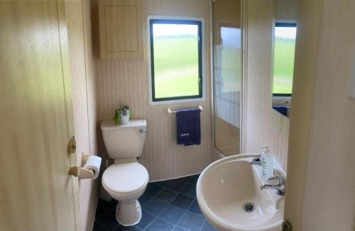 a bathroom with a toilet and a sink at Secluded Farmland Retreat - Valley View in Totnes