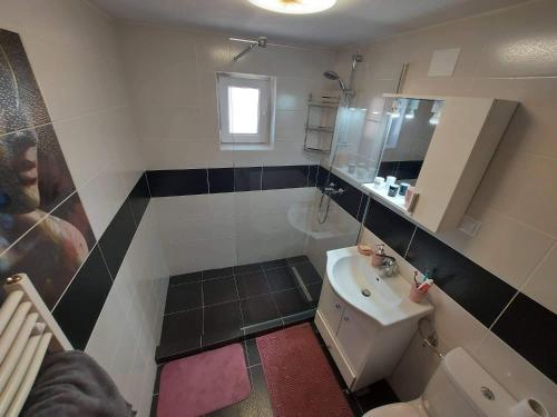 a small bathroom with a sink and a toilet at Apartament Blaj in Blaj