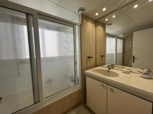 une salle de bain avec un lavabo et une douche en verre dans l'établissement Alexandra apartment by Welcome to Cannes, à Cannes