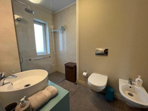 ein Bad mit einem Waschbecken und einem WC in der Unterkunft Lake View in Cluj-Napoca