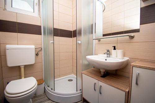 a bathroom with a toilet and a sink and a shower at Villa Damjan in Istrien in Peroj