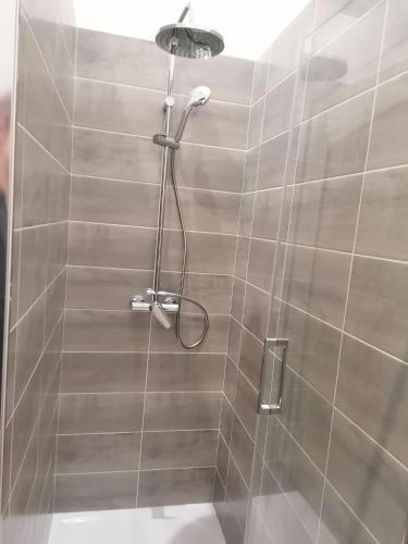 une douche avec pommeau de douche dans une salle de bain dans l'établissement Gîte de l'Abbé 8 à 10 personnes, à Lempaut