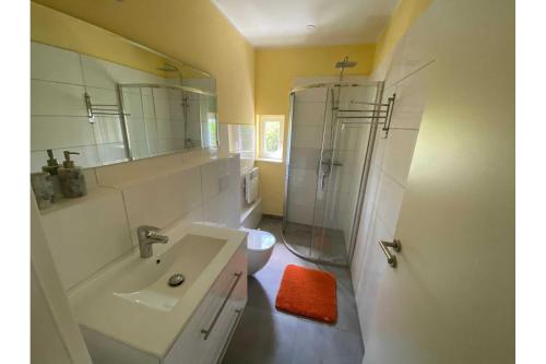 a bathroom with a sink and a shower and a toilet at Ferienhaus Dorfstrasse 12a in Loddin