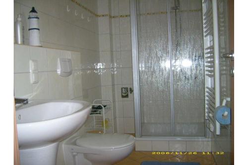 a bathroom with a sink and a toilet and a shower at Tannengrund 1 Ferienwohnung Gudrun in Loddin