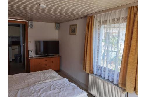 a bedroom with a bed and a tv and a window at Ferienwohnung Hasenlodde in Loddin