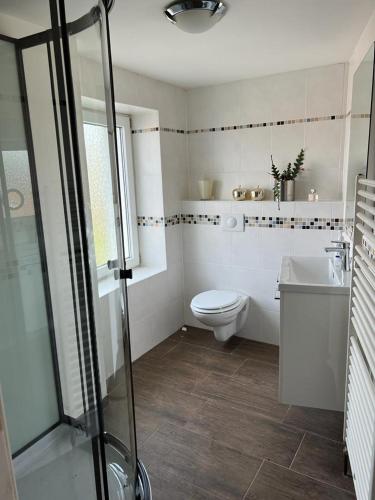 a bathroom with a toilet and a sink at Moderne luxuriöse Wohnung in Lüdenscheid