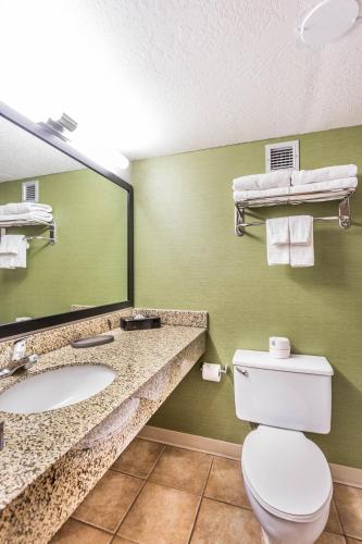 a bathroom with a toilet and a sink and a mirror at EverSpring Inn and Suites in Marshall