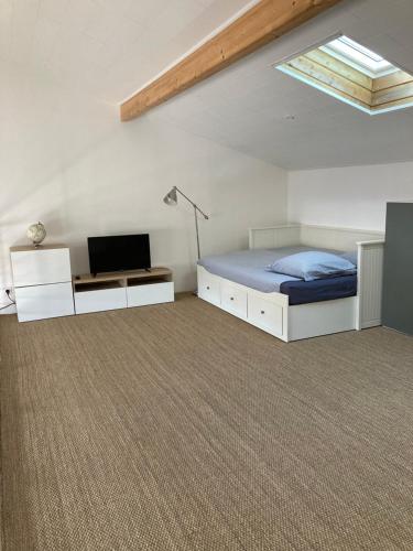 um quarto com uma cama, uma televisão e uma clarabóia em Charmante villa avec studio indépendant em Vendays-Montalivet
