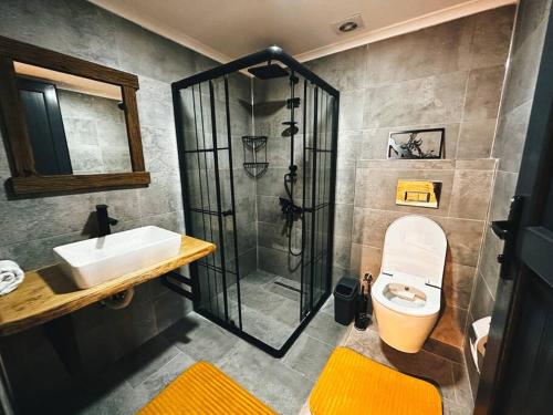 里澤的住宿－Tepede Bir Işık Var! HillCabin，带淋浴、卫生间和盥洗盆的浴室