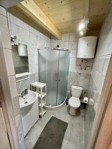 a bathroom with a shower and a toilet and a sink at Domki Hippalos Jarosławiec in Jarosławiec