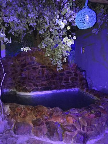 a stone wall with a bath tub with flowers at Apart Fraga Maia in Feira de Santana