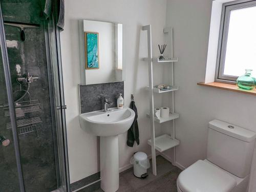 a bathroom with a sink and a shower and a toilet at The Beach House in Dunvegan